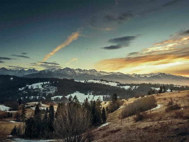 Building a FiveM Anti-Cheat from Scratch