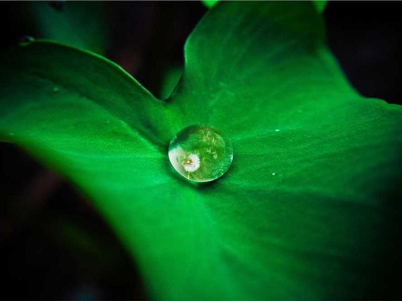 Creating a VPS Monitoring Dashboard with Flask