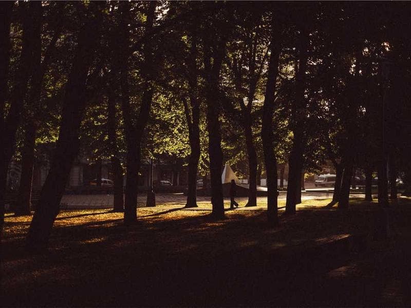 Securing FiveM Servers Against Backdoors